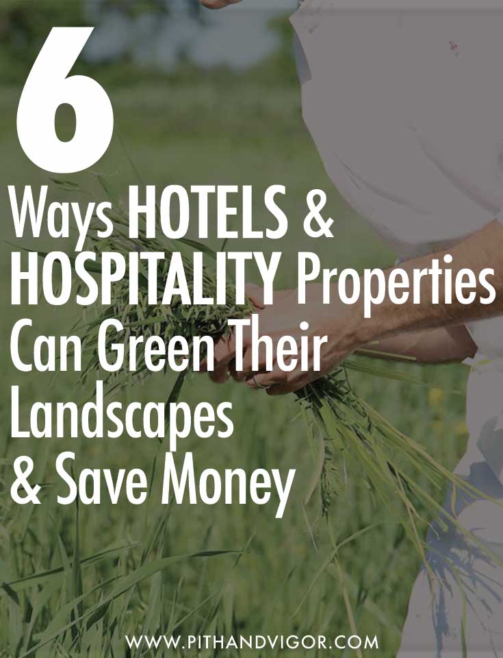 6 ways hotels and restaurants can green their landscapes and save money