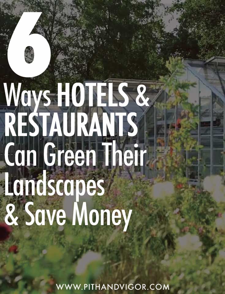how hotels and restaurants can green their landscapes and save money 6 ways hotels and restaurants can green their landscapes and save money