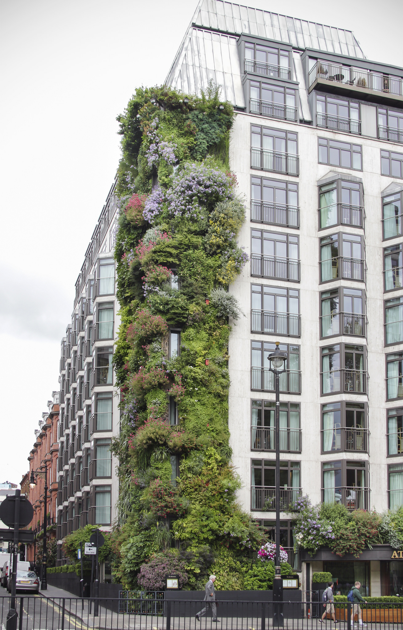 Grow Plants Vertically with Patrick Blanc - Inventor of the Vertical ...