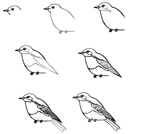inspirations betsy the bluebird pith vigor inspirations betsy the bluebird pith vigor