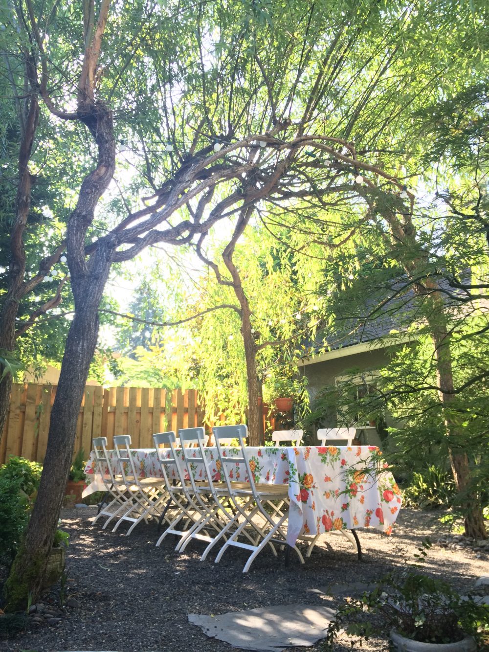 How to Make a Living Willow Arbor | PITH + VIGOR