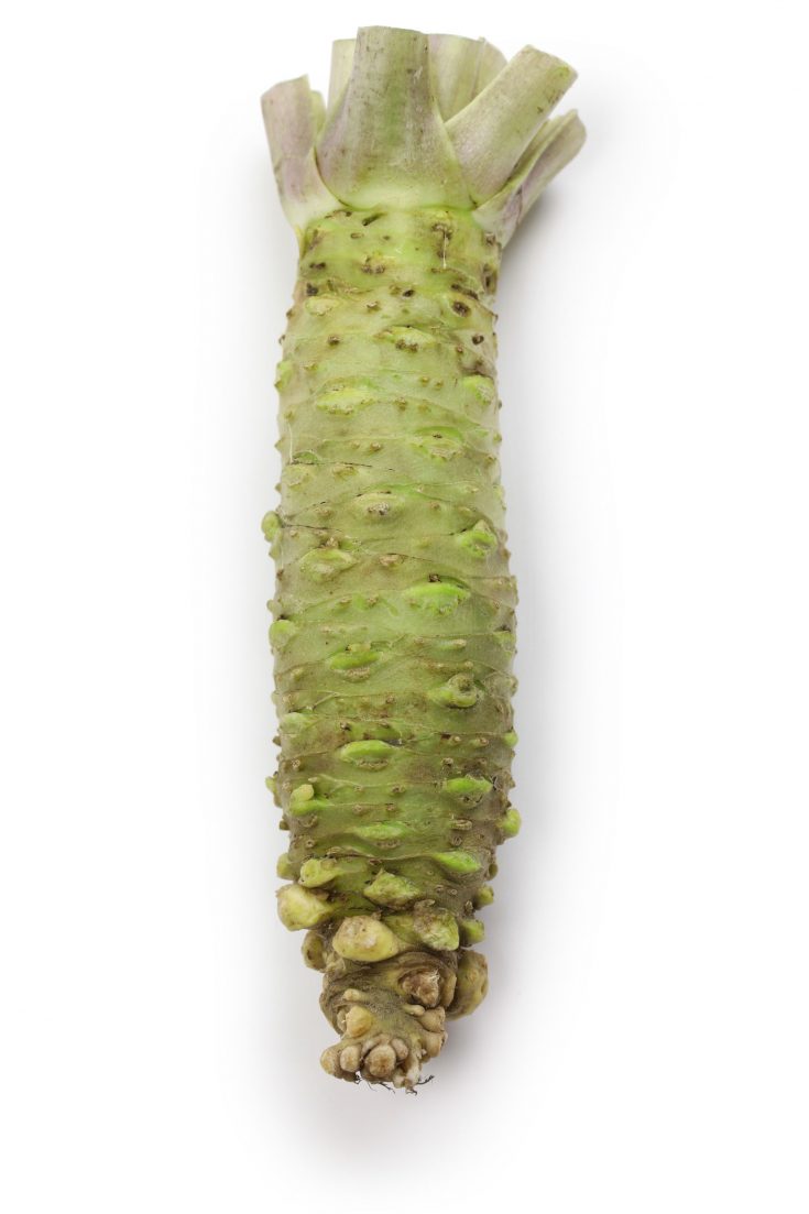 How to Grow Wasabi A Garden Nerd's Challenge PITH + VIGOR