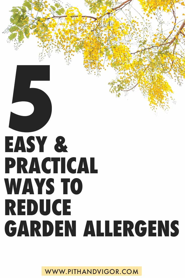 5 easy and practical ways to reduce garden allergens 5 Easy and Practical Ways To Reduce Garden Allergens