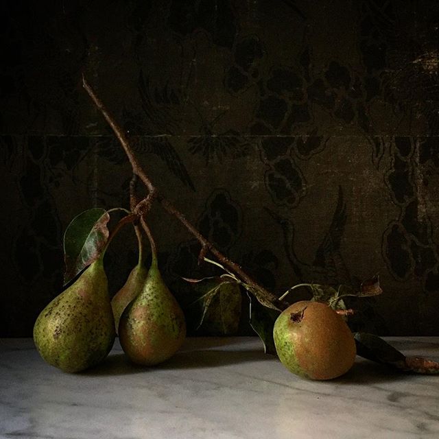 6 Instagram Still <img src=