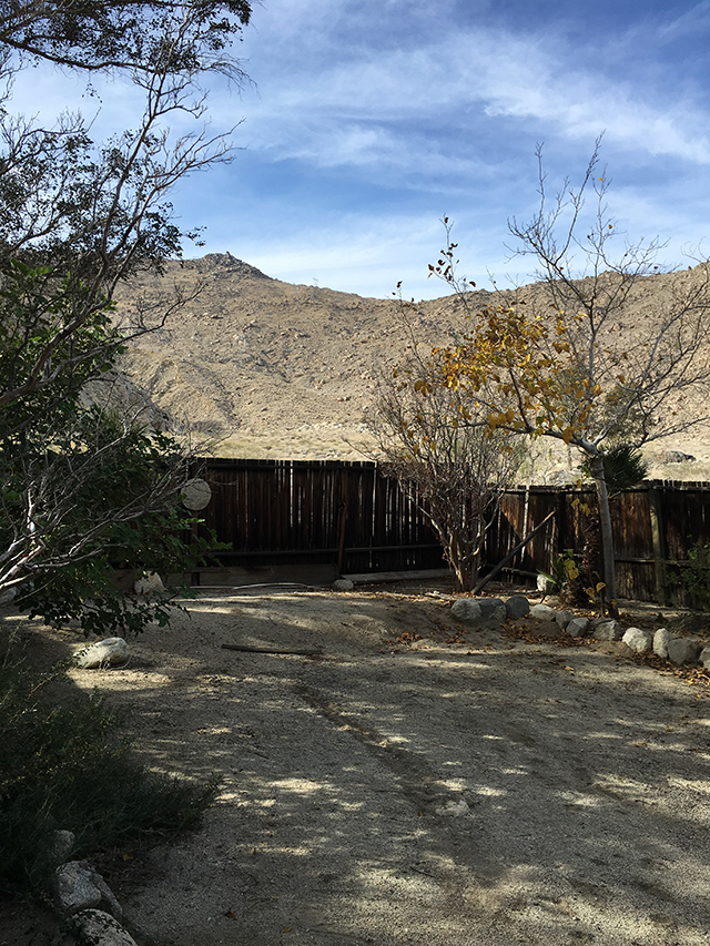 A Fresh New Garden for Sarah's Desert A-frame