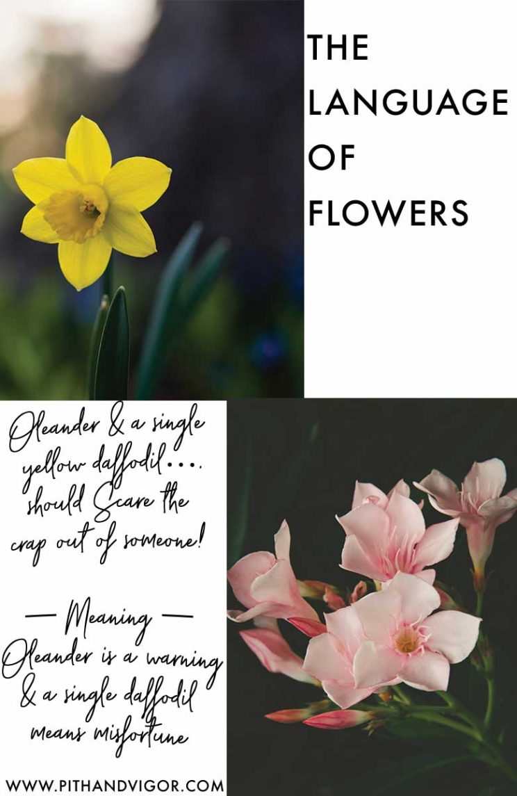 The language of flowers - saying what you really mean - with flowers (click through for more msgs)