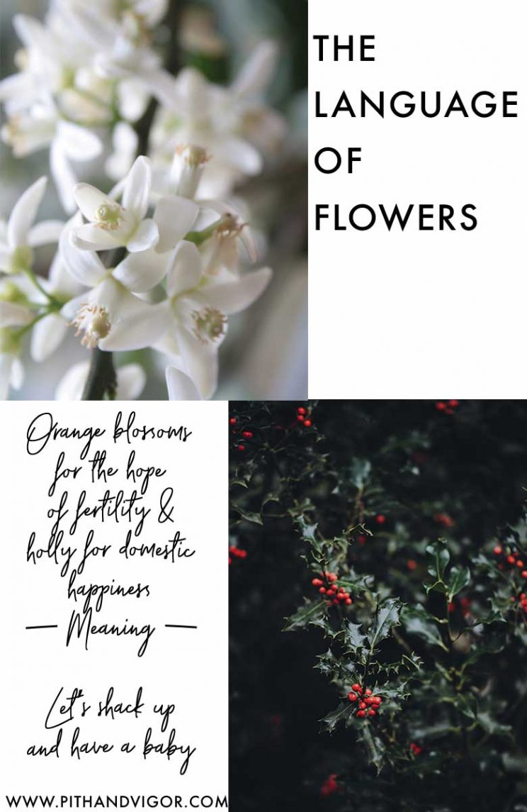 The language of flowers - saying what you really mean - with flowers (click through for more msgs)