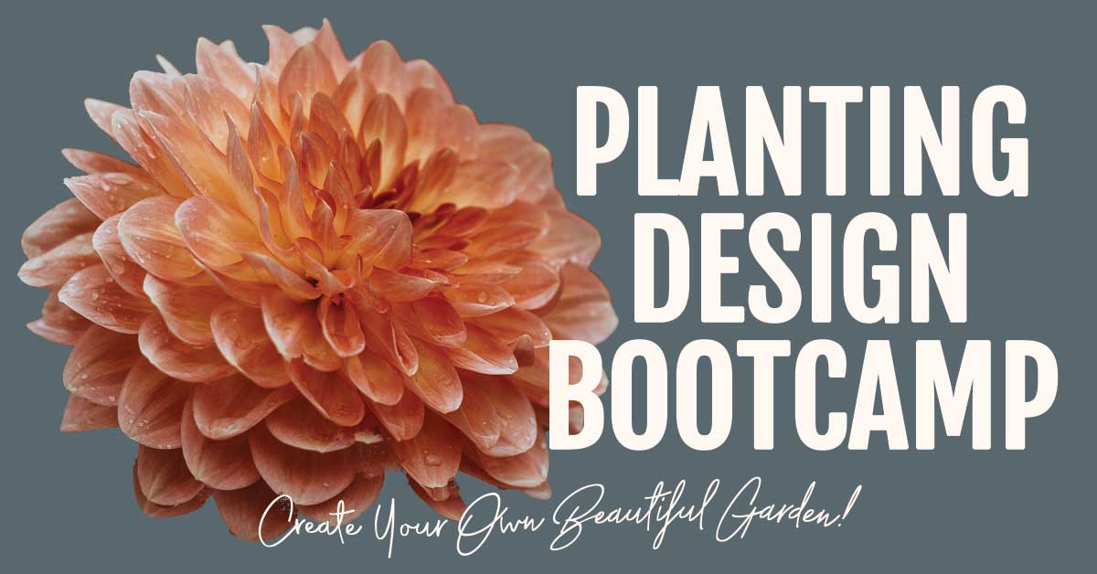 planting desing bootcamp Planting design Bootcamp
