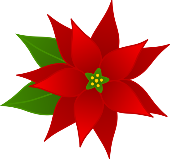 christmas_poinsettia christmas_poinsettia